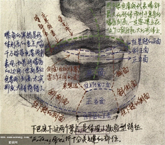 盛栗子采集到【素材】面部器官