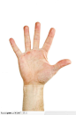 手势喻意-代表数字五