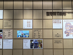 聚合传扬采集到展示