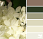 flora tones