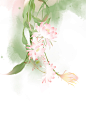 昙花1