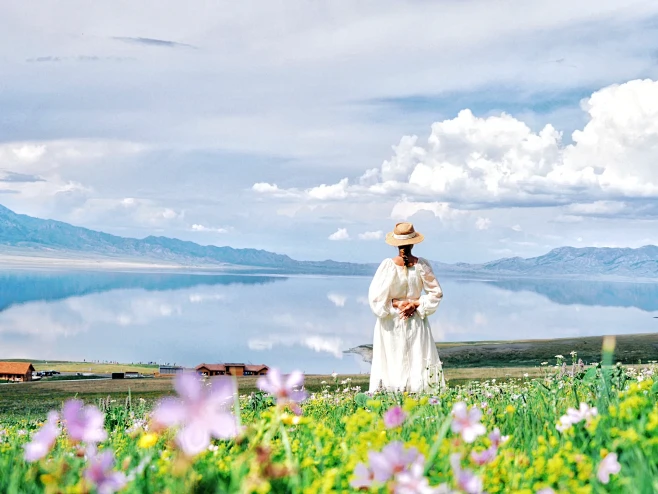 伊犁的花海