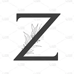 向量花字母。字母z的设计婚礼请柬、卡片、花商名片的装饰。线条艺术风格的精致的树枝和树叶