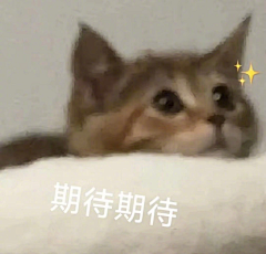 紫金最霸道采集到表情包