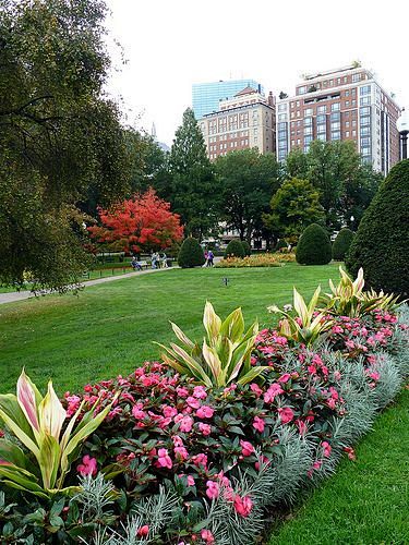 Boston Public Garden