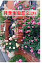 创意排行榜_万相台无界版