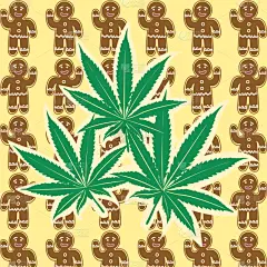 华丽的,健康保健,药,植物群,古董,品牌名称,艺术品,植物,绘制,着色