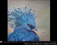 图形艺术系的插画画廊展厅