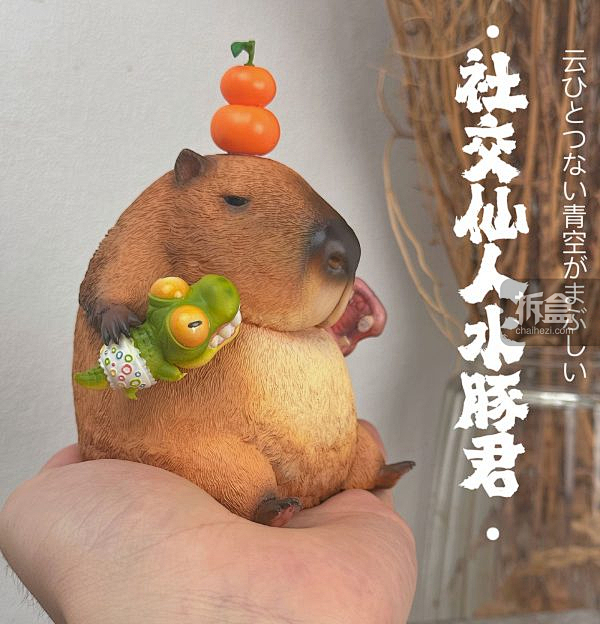 博物志 2023社交仙人水豚君 网红表情...