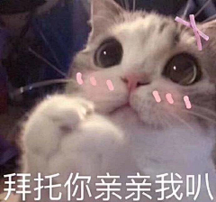 杳·然采集到Emoticon/表情包
