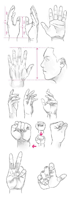 YOOYO-刘小粉采集到YO-基础构图-比例-方法