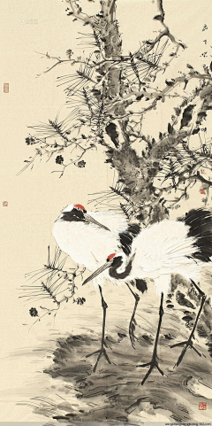 lbg5133采集到花鸟