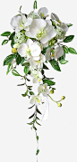 高清白色花朵绿叶花束png免抠素材 免费下载 页面网页 平面电商 创意素材