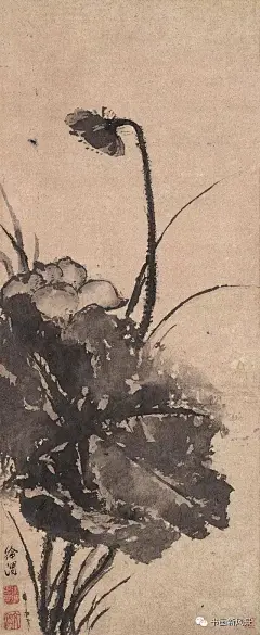 大名鼎鼎的写意大师“青藤白阳”笔下的墨荷！明 徐渭 墨荷图