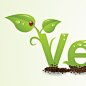 Preview for Creating an Environmentally Friendly Green Type Treatment