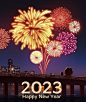 fireworks are lit up in the night sky over a bridge and cityscape with buildings