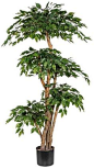 Kunstpflanze »Ficus Benjamini«, Höhe 170 cm