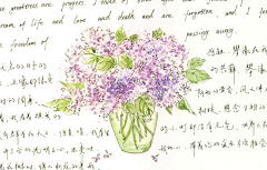 hyacinthkeke采集到水彩（场景&植物）插图