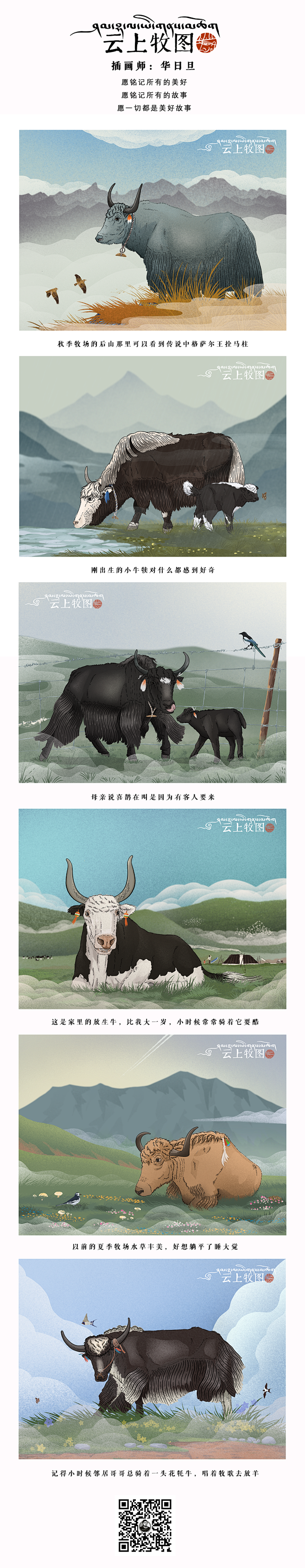 云上牧图-牦牛篇