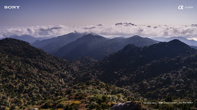 yakushima_1920_1080_...