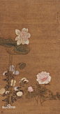蒋廷锡图片_百度百科