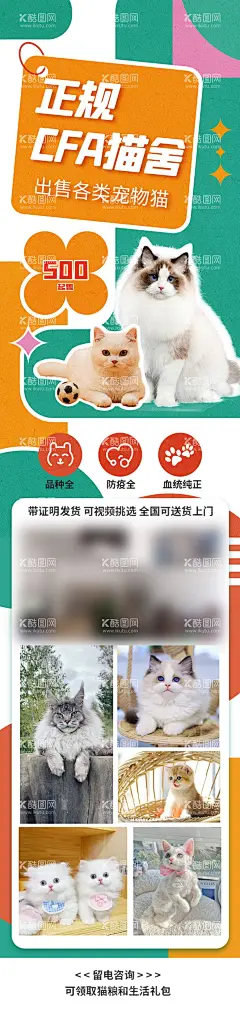 宠物猫咪长图海报  - 源文件下载【酷图网】海报,宠物,猫咪,可爱,卡通,创意,扁平化,