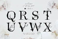 200+优雅梦幻春天元素金色手绘花卉几何边框字母水彩画PNG免抠图设计素材 Spring Cycle Alphabet &amp; Graphics插图3