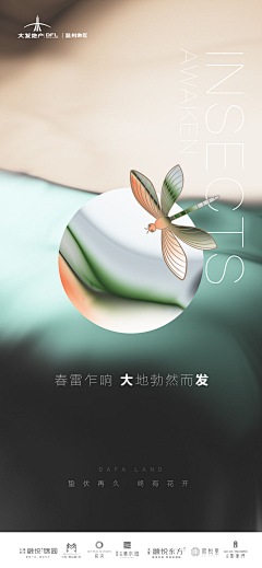 四块五的六采集到排版
