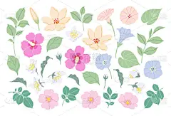 简单的不同的花和绿色的叶子隔离在白色的背景上。彩色照片中盛开的花朵.一套装饰花卉设计元素.矢量平面植