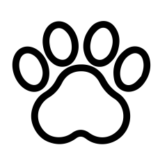 Toto酱采集到图标