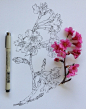 植物笔记。一花盛开一世界。丨来自插画艺术家Noel Badges Pugh