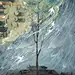 沽久-