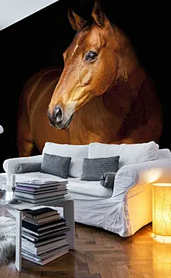 我们只是喜欢这个充满中性色彩的客厅的轻松的氛围。 背后的马壁纸壁画是我们的Vicki Roebuck系列的可信的朋友。 Vicki Roebuck是着名的动物摄影师。