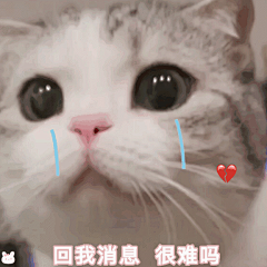 【图片】2020年存滴表情包_表情包吧_百度贴吧