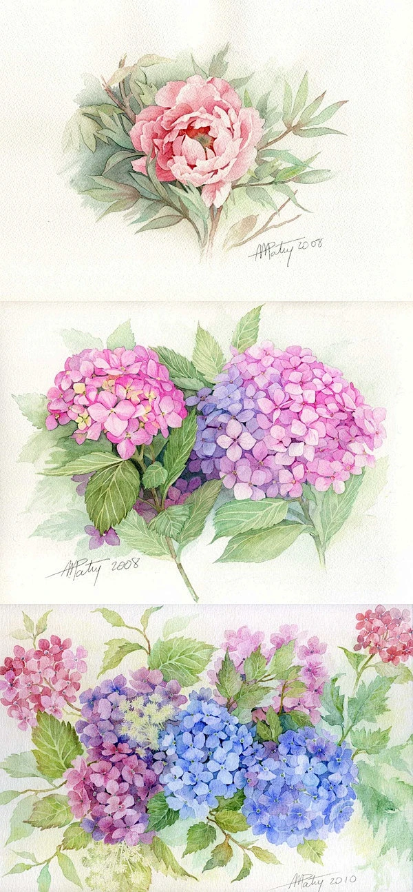 插画内的花瓣采集图片-jianer