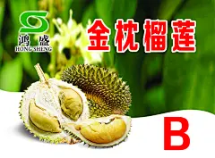 水果榴莲宣传海报展板
