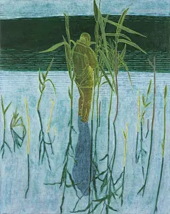 以视觉诗人的身份，讲述一个关于自然的故事_8_阳哥有画说_来自小红书网页版