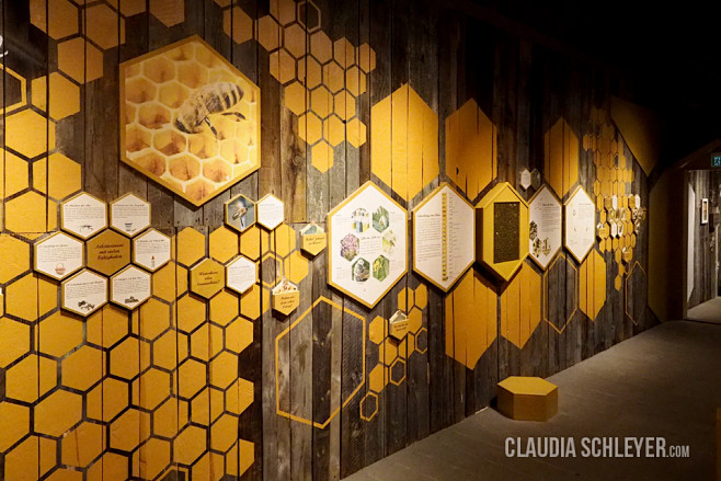 Claudia Schleyer Int...