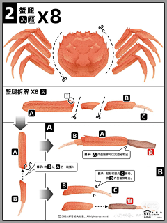 关耳er采集到插画