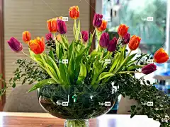 花瓶 花 美丽的花朵 花壁纸 花卉背景 自然 一束花朵 郁金香