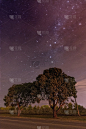 星空下有孤独的树木在遥远的小路下开始