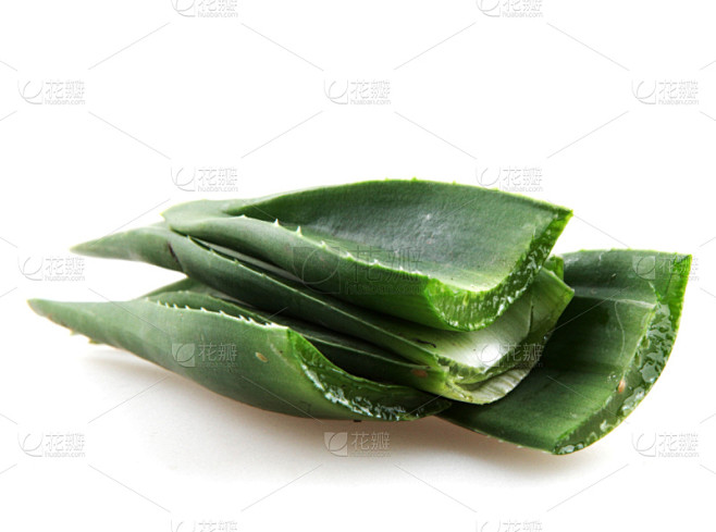 芦荟,芦荟植物,美,水平画幅,无人,健康...