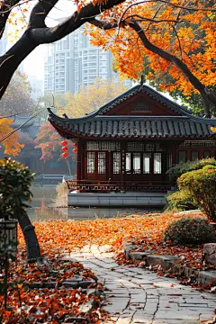 公园初秋自然意境