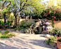 Tucson Oasis Home Design Ideas, Pictures, Remodel and Decor