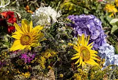 传统的花束，草本植物和水果，是夏天的象征