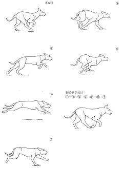 そよかぜうさぎ采集到动画GIF