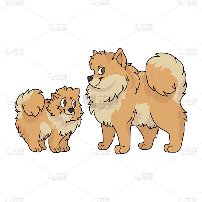 可爱的卡通博美犬品种矢量clipart。纯种犬舍狗品种为狗爱好者。纯种家养小狗，宠物客厅插图吉祥物。