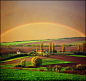 杨树，彩虹，潘诺尼亚平原。斯雷姆，塞尔维亚