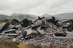 lsen采集到废土