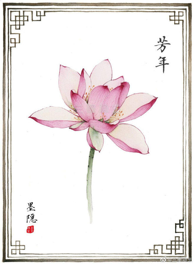 水彩荷花